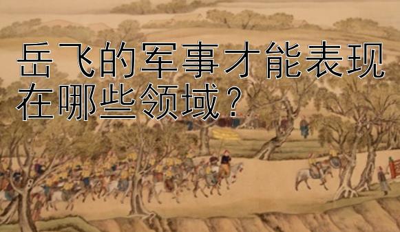 岳飞的军事才能表现在哪些领域？